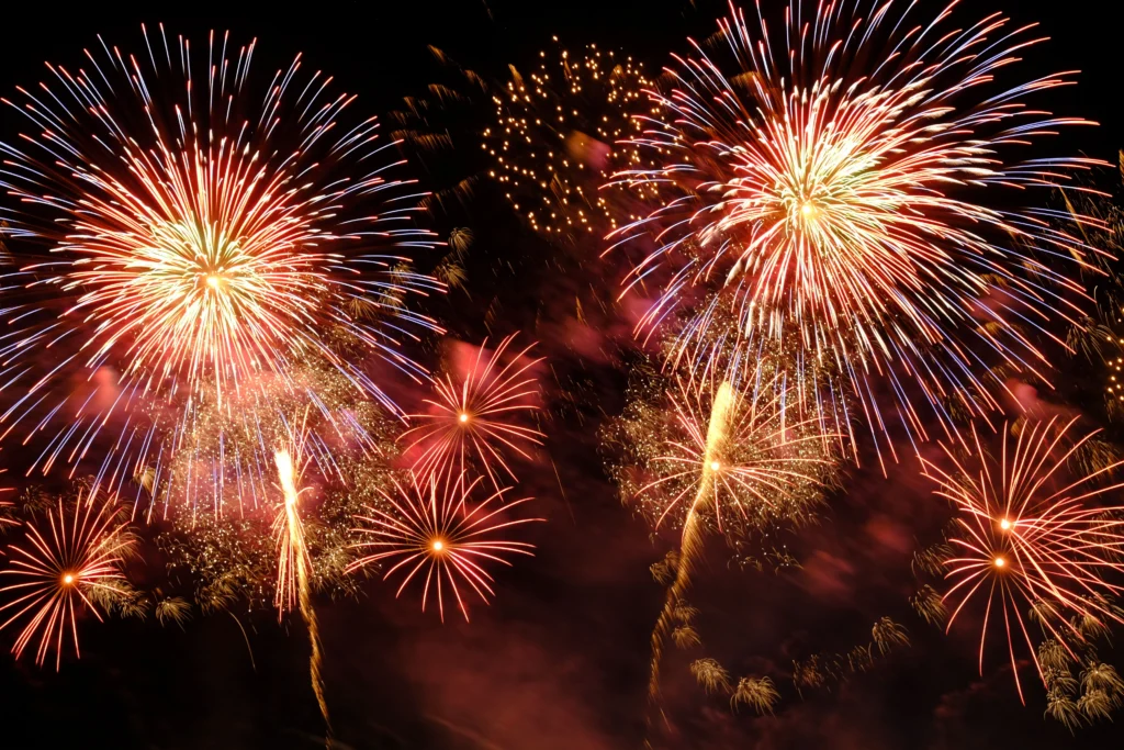 A vibrant fireworks display against the night sky.